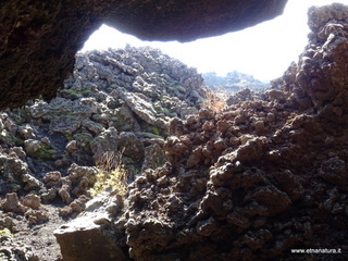 otta Chiovazzi-02-11-2020 12
